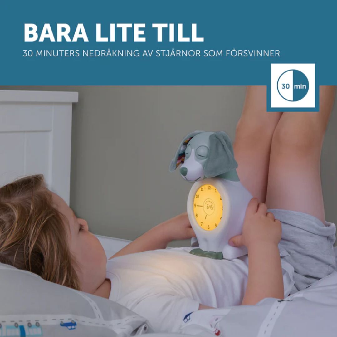 Zazu sleep trainer natlampe Davy the dog Blå